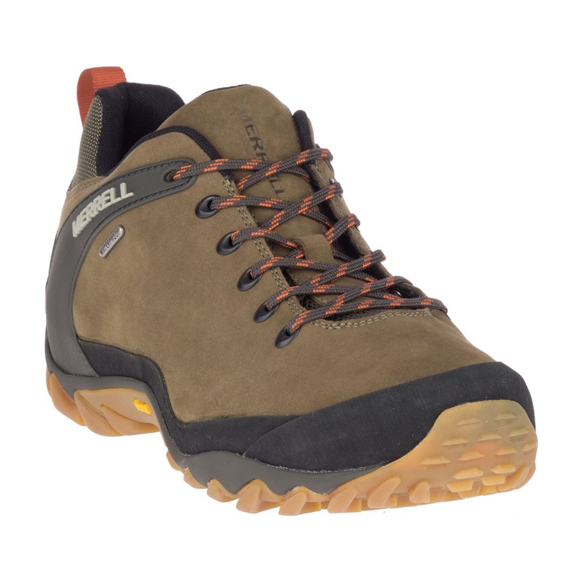 Chaussures Randonnée Merrell Chameleon 8 Stretch Waterproof Vert Foncé Olive Homme | B.C.SWVC